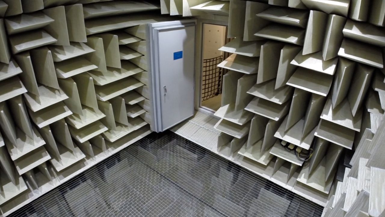 No one can stay in the quietest room in the world for more than an hour