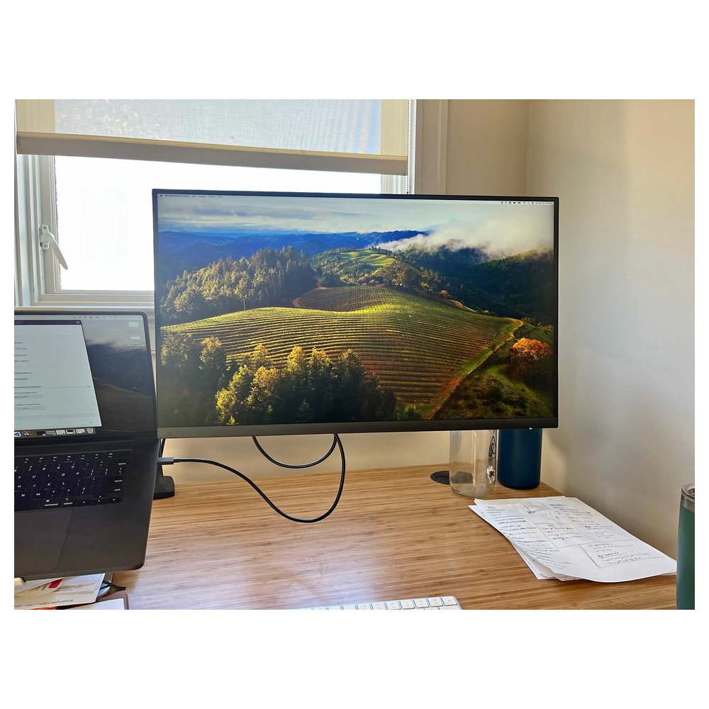 24" Dell Monitor display