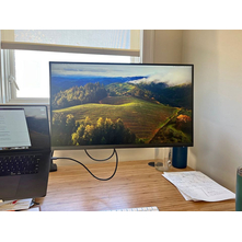 24" Dell Monitor display