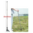 Weeder Puller Stand Up Weed Tool Handle Claw Garden Outdoor Root Remover Killer